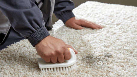 Professional Rug Cleaning La Trobe